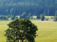 Widok na stronę czeską