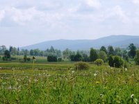 Widok na Lasówkę z wiaty imprezowej