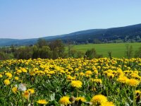 Widok na czeskie stoki